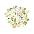 thumbnail image 2 of Vess, June Erica 15x15 White Modern Wood Framed Museum Art Print Titled - Succulent Cameo XIII, 2 of 4