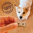 thumbnail image 6 of Wellness Old Mother Hubbard Mother's Solutions Minty Fresh Breath Natural Biscuits Dog Treats, 20 oz bag, 6 of 8