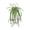 Spider Plan, variant on VKLU 1PC Faux Hanging Anthurium Plant, Artificial Greenery for Indoor Outdoor Wall Decor, Maintenance-Free