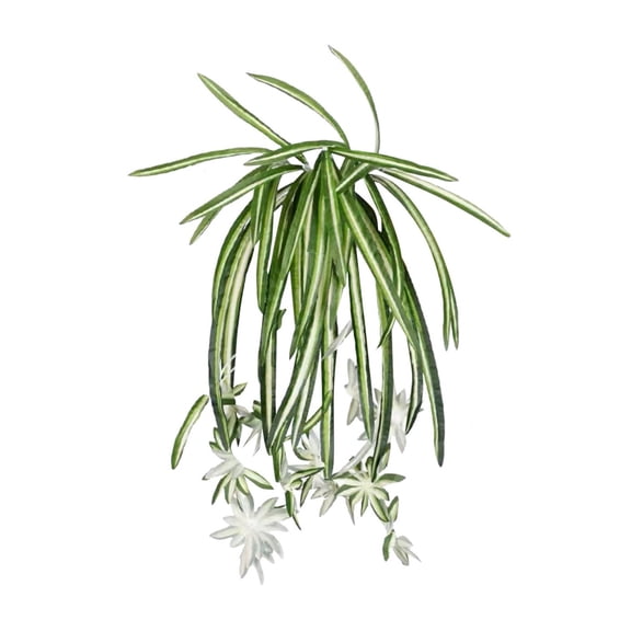 VKLU 1PC Artificial Hanging Spider Plant, Faux Greenery Bush for Outdoor Wall Decor & Front Porch, UV Resistant