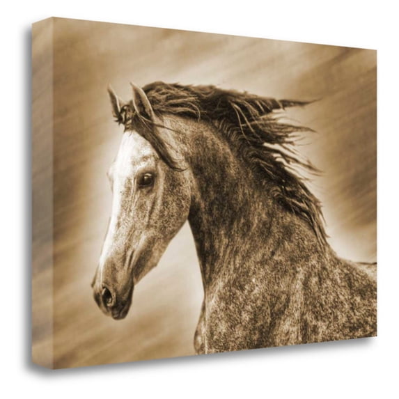 Tangletown Fine Art Addie Grey Canvas Wall Art