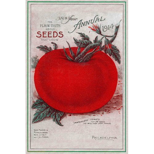 Marmont Hill "Tomatoes" Painting Print on Canvas
