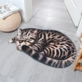 thumbnail image 6 of Jacenvly Christmas 3D Pussy Theme Indoor Outdoor Door Mats, Non Slip, 6 of 8
