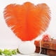 thumbnail image 4 of Nvzi Plumas de avestruz naranjas, 12 unidades, grandes, naturales, a granel, de 30 a 35 cm, para centros de mesa de bodas, fiestas, Pascua, Gatsby y decoración del hogar., 4 of 5