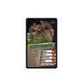 thumbnail image 1 of Juego de cartas Spiders Top Trumps Top Trumps Top Trumps, 1 of 2