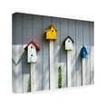 thumbnail image 2 of Robert Michaud 'Bird houses' Canvas Art, 2 of 4