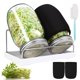 thumbnail image 1 of Kit de frascos para germinar AeKahtay, 2 frascos de boca ancha de 950 ml, 1 of 7