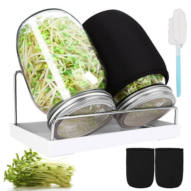 Kit de frascos para germinar AeKahtay, 2 frascos de boca ancha de 950 ml
