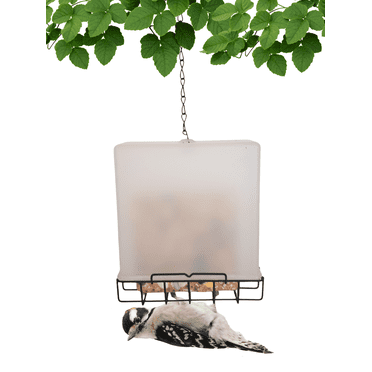 Songbird Essentials Upside Down Suet Feeder Plastic Bird Feeder, 1 Suet Cake Capacity