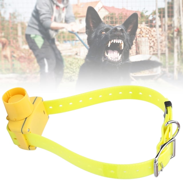 Plastic+Stainless Steel 6.5x4x7cm Dog Training Collar, Dog Beeper Collar, For Hunting Dogs Training