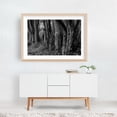 thumbnail image 6 of Haunted Forest - York Pennsylvania Photography Black and White Forest Nature Woodland Woods Rustic Mystical Unframed Wall Art Print 20 x 28 inches, 6 of 7