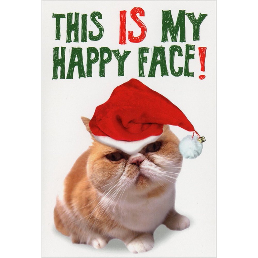 Nobleworks My Happy Face Funny / Humorous Cat Themed Christmas Card