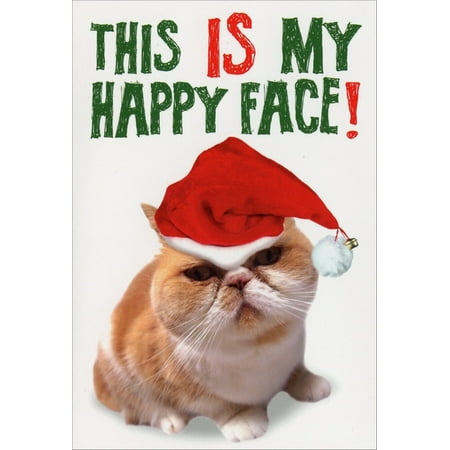 Happy Christmas Cat Nobleworks My Happy Face Funny / Humorous Cat Themed Christmas Card ()