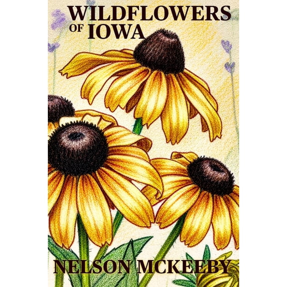 Natural History Wildflowers of Iowa, (Paperback)