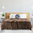 thumbnail image 2 of PiccoCasa Bed Blanket Mesh Soft Plush Fleece Blanket Queen 78"x90", Coffee Color, 2 of 7