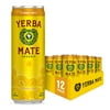 Guayakí Yerba Mate, Organic Sparkling Classic Gold, 80mg Natural Plant Based Caffeine, Smooth Energy & Focus, Carbonated, 12 Oz (Pack of 12)