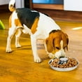 thumbnail image 2 of Classic Feeder Slow Perro Anti Gulp Bowl Acero Inoxidable De Hinchazón S 26cm Zulema Mascotas Cuenco de alimentación lento, 2 of 8