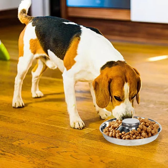 Tazón de alimentación de acero inoxidable perfecl de 26cm para mascotas