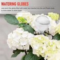 thumbnail image 4 of 20 Pcs Plant Watering Bulbs Clear Self-Watering Globes Automatic Water Balls Device Vacation Houseplant Pot Bulbs, 4 of 5