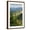Brown Frame, variant on Art.com Hurricane Ridge, Olympic National Park, Washington Art Print by Lantern Press, 12" x 18"