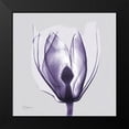 thumbnail image 2 of Koetsier, Albert 20x20 Black Modern Framed Museum Art Print Titled - Purple Tulip Bud on Purple, 2 of 5