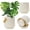 Milk-yellow, variant on Plant Pots，Set of 3 Plastic Pots for Indoor Plants,Flower Pots Outdoor Planters with Drainage Hole and Seamless Saucer,White