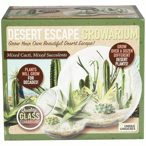 Unique Gardener: Desert Escape Growarium - DIY Double-Sphere Glass Terrarium Starter Kit, Grow Cacti & Succulents, Mini Nature Plants, Adults & Kids