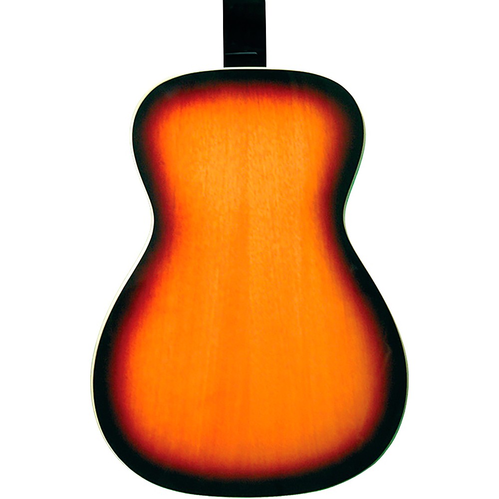 Gold Tone PBS Paul Beard Squareneck Guitar with Case Sunburst