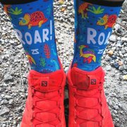 Zensah Dinosaurs Socks (Mini Crew) M / Teal