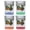 Multicolor (4-Pack), variant on Williamsburg Virginia Vintage Design Souvenir 2 oz Square Shot Glass – Clear