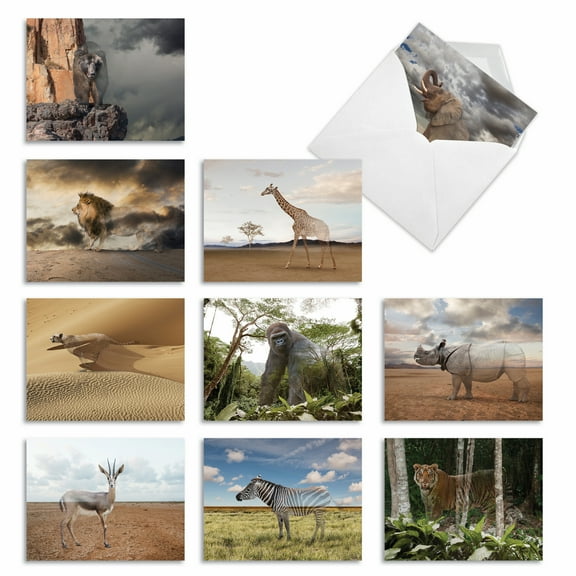 10 Assorted Thank You Gratitude Note Cards with Envelopes (4 x 5.12 Inch) - VANISHING WILDLIFE M1736TY