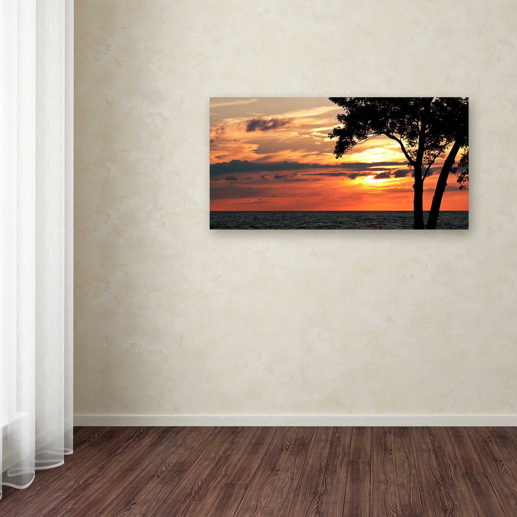 Trademark Fine Art "A Special Sunset" Canvas Art by Kurt Shaffer
