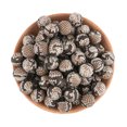 thumbnail image 3 of Lote de 10 o 20 cuentas de silicona redondas impresas de 15 mm y 12 mm con estampado de leopardo para hacer joyas, accesorios de joyería DIY, 3 of 5