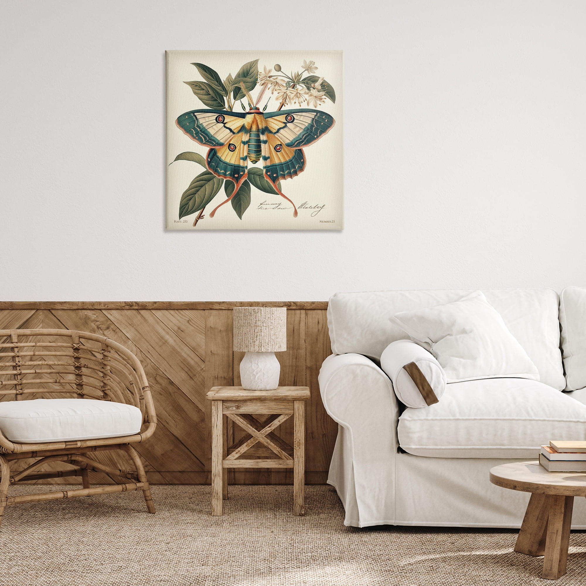 Stupell Industries Vintage Moth & Plant Study Animals Painting Wrapped Canvas Art Print Wall Art, 30 x 30