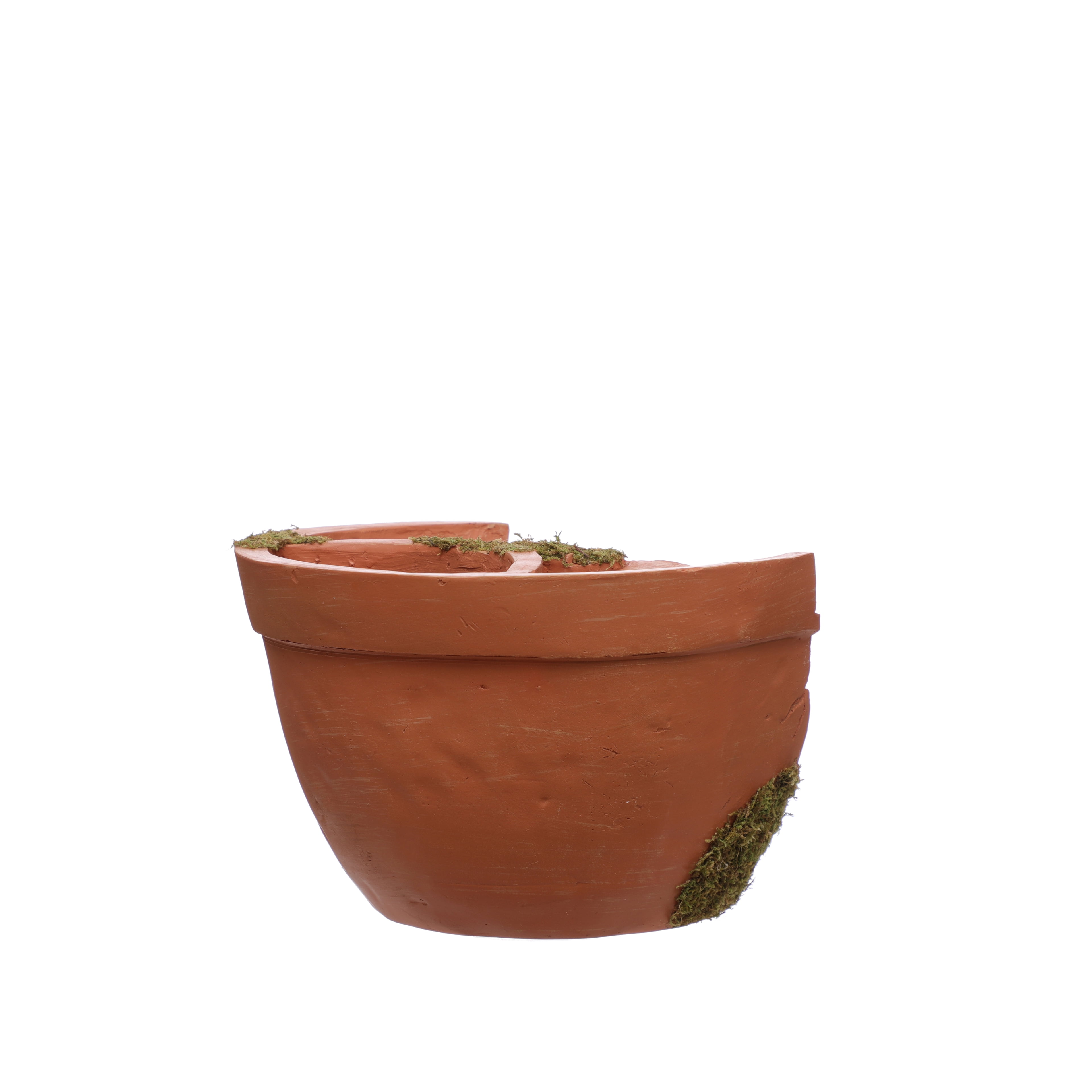 Mini Moss Container by Ashland  - Spring Home Decor