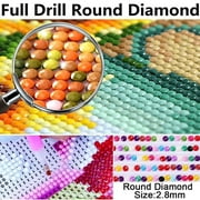 Zelda Diamond Painting Kits for Adults Beginners Round Full Drill 5D DIY Diamond Art Kits Diamond Painting Kits Picture Art for Home Wall Decor 12x16 inch