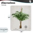 thumbnail image 4 of Stupell Industries Bohemian Natural Palm Variety Study Canvas Art, 36 x 48, by Val Rhodes, 4 of 8