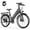 G29-Pro Max, variant on AZHAR Electric Bike for Adults, 26" Electric Mountain Bike, 750W Power Motor, Up to 20 MPH 45 Miles, Electric Bicycle with 48V 10AH Removable Battery, Class 2 UL 2849