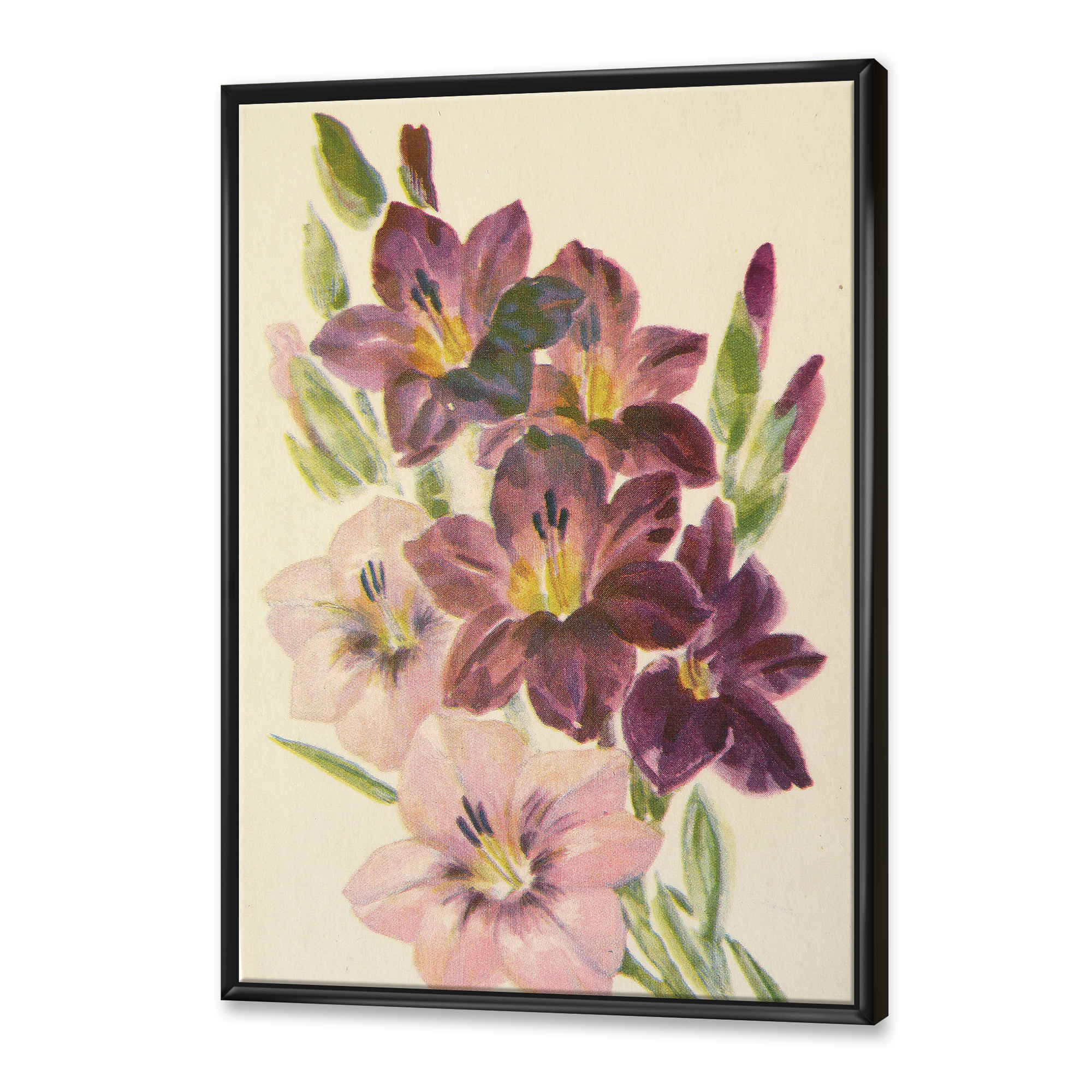 Designart 'Retro Dark and Light Pink Gladiolus' Traditional Framed Canvas Wall Art Print