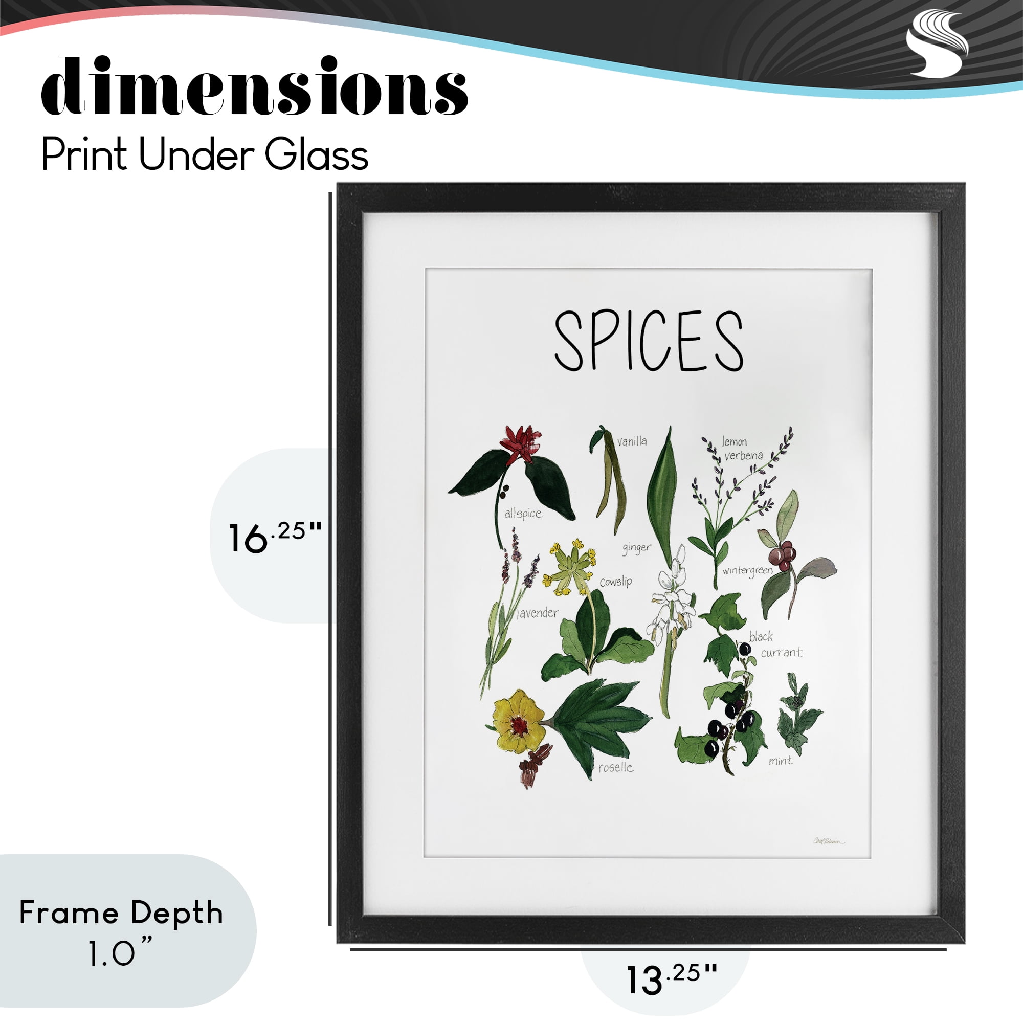 Stupell Industries Spices Identification Chart Black Framed Print Under Glass, design by Carol Robinson