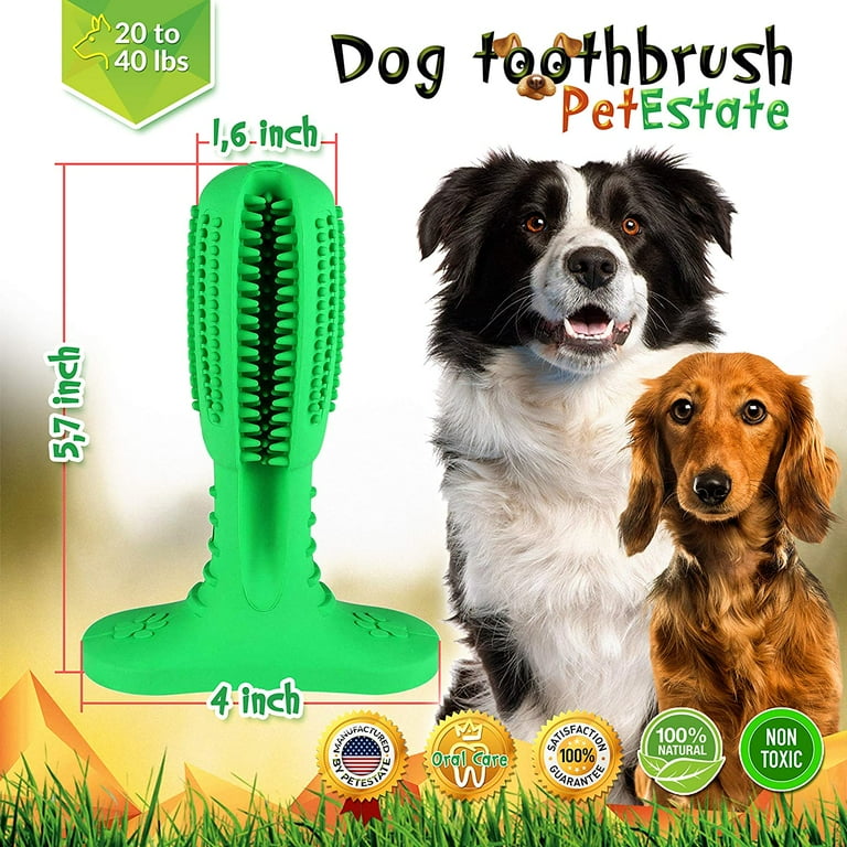 Tooth Brush Brushing Stick For Dogs Bristly Brushing Stick Large