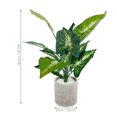 thumbnail image 2 of Hytrove Planta Artificial En Maceta Decorativa Verde De Plástico Para Hogar Oficina Y, 2 of 6