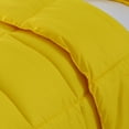 thumbnail image 2 of Lotus Home Stayclean Bacteria Reducing Water and Stain Resistant Microfiber Comforter Mini Set, 2 of 4