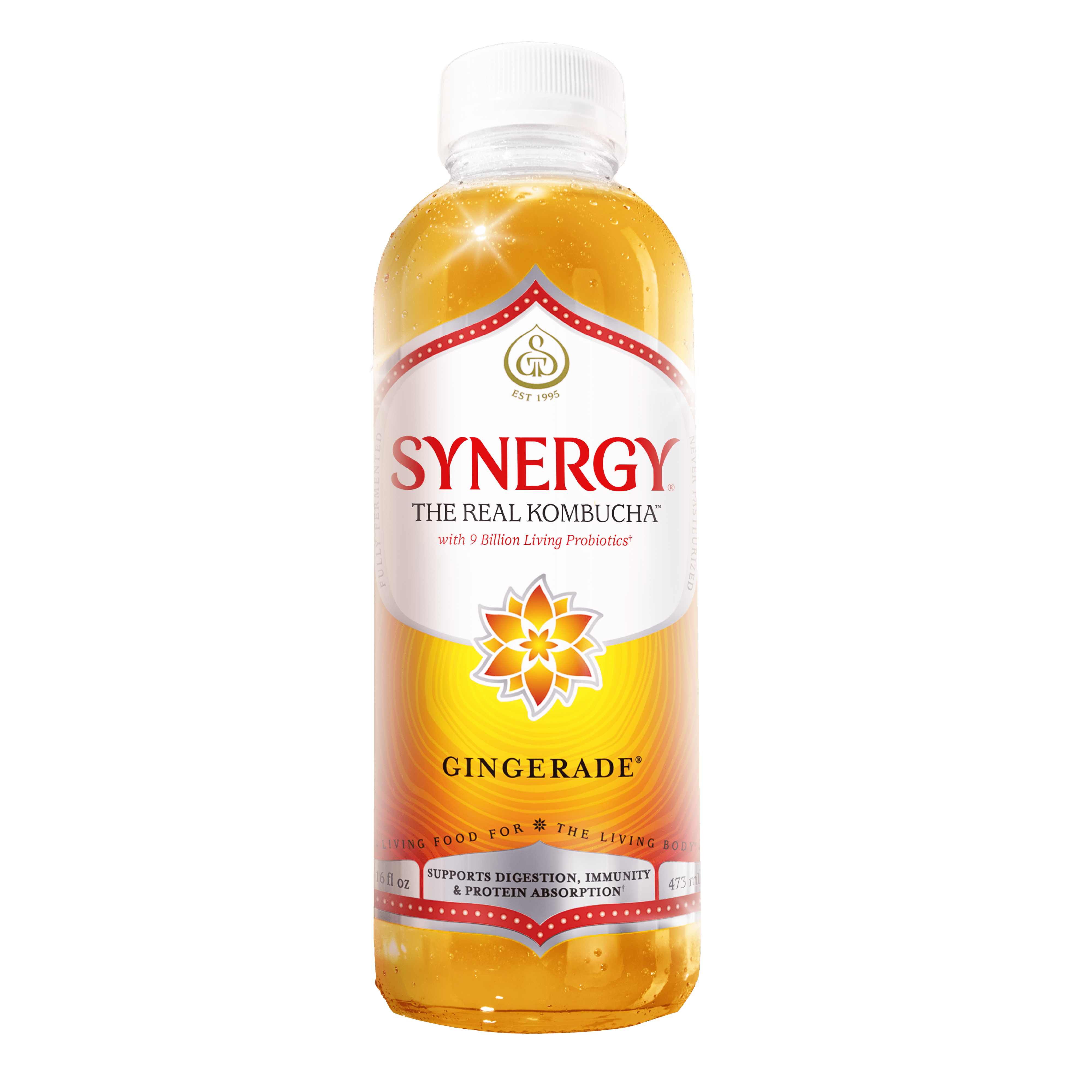 federa コンブチャ GT.S Synergy Real Kombucha Gingerade, 16 fl oz, Fermented Drink