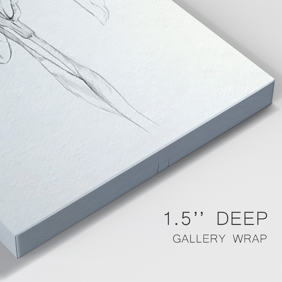 Neutral Iris Sketch II Premium Gallery Wrapped Canvas - Ready to Hang