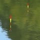 thumbnail image 5 of Flotador de pesca eléctrico, carpa cruciana luminosa, palo de pesca, aparejos de pesca Bobber Tmvgtek Para estrenar, 5 of 9
