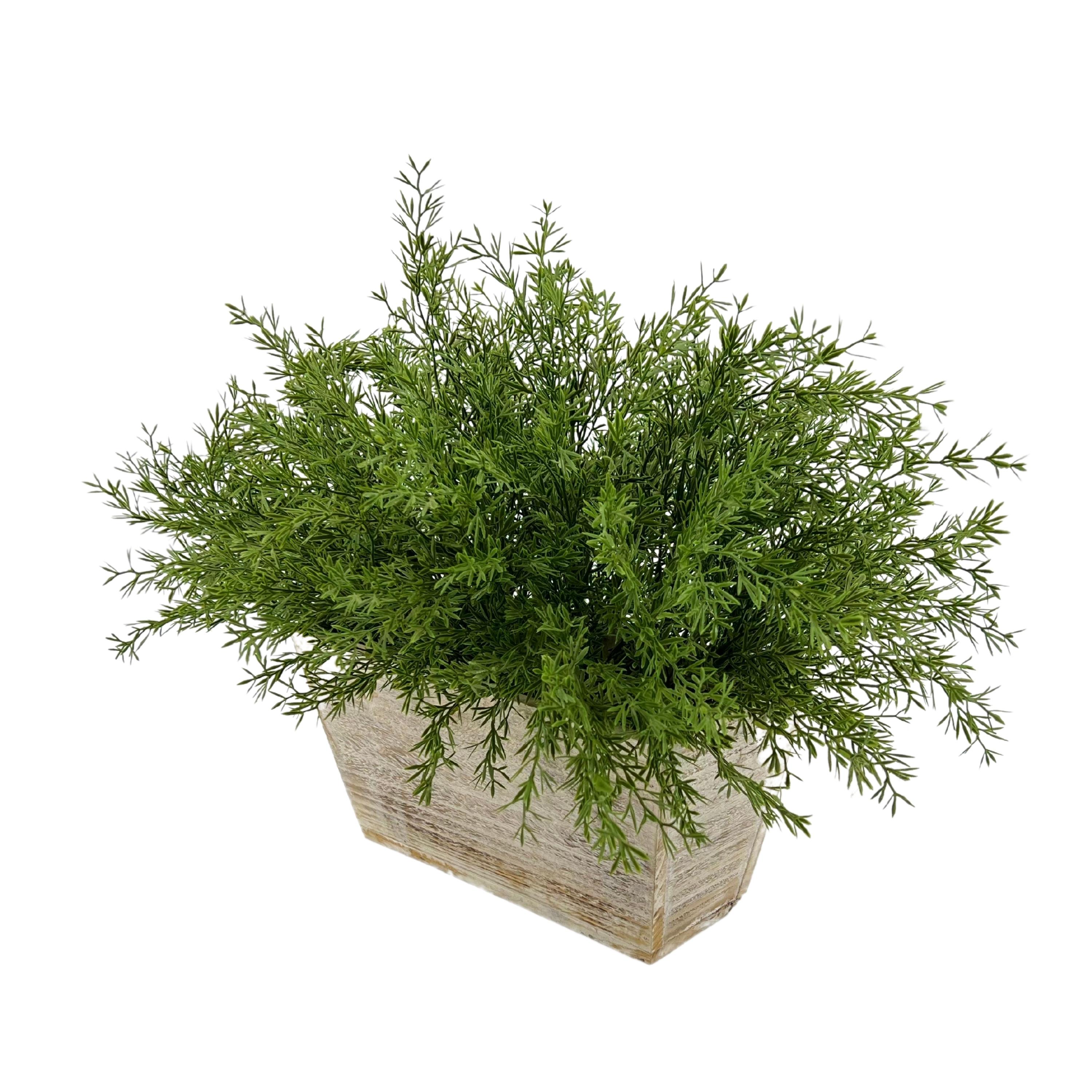 Faux Asparagus Fern in White Wood Mini Ledge