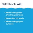 thumbnail image 3 of HTH Salt Shock Fast Dissolving Pool Chemical for Chlorine Generators, 3.75 lbs, 5 Pack, 3 of 7