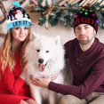 thumbnail image 2 of TETOU 4 Pack Light Up Christmas Hat,Cute Cartoon Design Xmas Knitted Beanie Hat with Light for Adults Kids Christmas Gift New Years Party Decoration(Style A), 2 of 4
