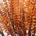 thumbnail image 4 of Pakyozj Fall Plants Artificial Ferns for Outdoors Fake Fern Plants Faux Boston Fern Plant for Room Home Garden Decor Fall Autumn Thanksgiving Decoration, 4 of 7